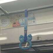 ヒメ日記 2025/08/16 19:50 投稿 こより パイの巣