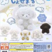 ヒメ日記 2025/08/22 16:00 投稿 こより パイの巣