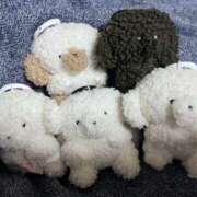 ヒメ日記 2025/08/27 19:55 投稿 こより パイの巣