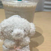 ヒメ日記 2025/08/29 19:50 投稿 こより パイの巣