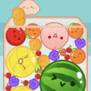 ヒメ日記 2025/09/05 19:50 投稿 こより パイの巣