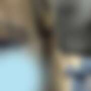 ヒメ日記 2025/09/10 20:50 投稿 こより パイの巣