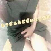 ヒメ日記 2025/09/07 20:01 投稿 山下りお ミセスレディ