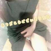 ヒメ日記 2025/09/19 13:31 投稿 山下りお ミセスレディ