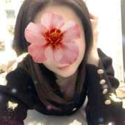 ヒメ日記 2025/11/12 15:16 投稿 山下りお ミセスレディ