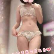 ヒメ日記 2025/11/16 10:46 投稿 山下りお ミセスレディ