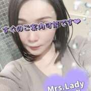 ヒメ日記 2025/11/16 11:46 投稿 山下りお ミセスレディ