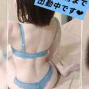 ヒメ日記 2025/11/18 09:31 投稿 山下りお ミセスレディ