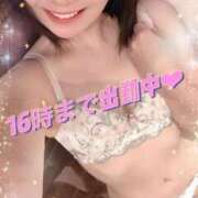 ヒメ日記 2025/11/26 12:16 投稿 山下りお ミセスレディ