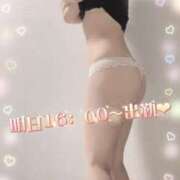 ヒメ日記 2026/01/24 19:01 投稿 山下りお ミセスレディ