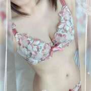 ヒメ日記 2026/04/06 14:46 投稿 山下りお ミセスレディ