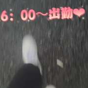 ヒメ日記 2026/06/24 05:46 投稿 山下りお ミセスレディ