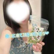 ヒメ日記 2026/07/13 21:16 投稿 山下りお ミセスレディ