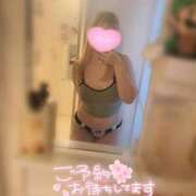 ヒメ日記 2025/08/10 11:24 投稿 こむぎ ふわふわコレクション