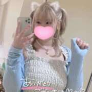 ヒメ日記 2025/08/11 20:34 投稿 こむぎ ふわふわコレクション