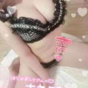 ヒメ日記 2025/09/12 02:24 投稿 こむぎ ふわふわコレクション