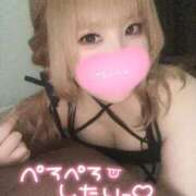 ヒメ日記 2025/10/02 18:34 投稿 こむぎ ふわふわコレクション