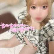 ヒメ日記 2025/10/04 16:24 投稿 こむぎ ふわふわコレクション