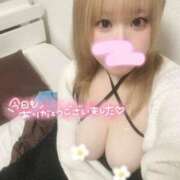 ヒメ日記 2025/10/11 03:14 投稿 こむぎ ふわふわコレクション