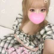 ヒメ日記 2025/10/11 14:20 投稿 こむぎ ふわふわコレクション