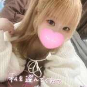 ヒメ日記 2025/10/12 02:14 投稿 こむぎ ふわふわコレクション