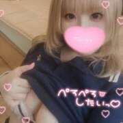 ヒメ日記 2025/11/07 18:07 投稿 こむぎ ふわふわコレクション