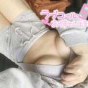 ヒメ日記 2025/11/08 12:44 投稿 こむぎ ふわふわコレクション