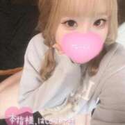 ヒメ日記 2025/11/11 12:24 投稿 こむぎ ふわふわコレクション