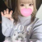 ヒメ日記 2025/11/12 15:04 投稿 こむぎ ふわふわコレクション