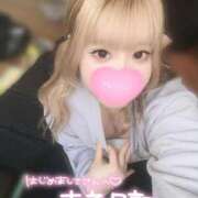 ヒメ日記 2025/11/12 18:44 投稿 こむぎ ふわふわコレクション