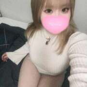 ヒメ日記 2025/11/26 16:04 投稿 こむぎ ふわふわコレクション