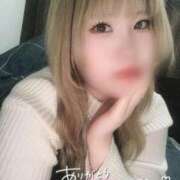 ヒメ日記 2025/11/27 02:54 投稿 こむぎ ふわふわコレクション