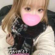 ヒメ日記 2025/11/28 16:24 投稿 こむぎ ふわふわコレクション