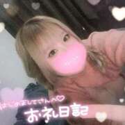 ヒメ日記 2025/11/29 21:34 投稿 こむぎ ふわふわコレクション