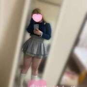 ヒメ日記 2026/01/26 13:44 投稿 こむぎ ふわふわコレクション