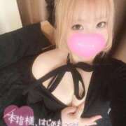 ヒメ日記 2026/01/28 13:04 投稿 こむぎ ふわふわコレクション