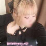 ヒメ日記 2026/01/28 15:04 投稿 こむぎ ふわふわコレクション