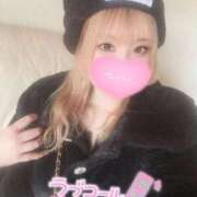 ヒメ日記 2026/01/28 23:24 投稿 こむぎ ふわふわコレクション