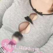 ヒメ日記 2026/01/29 12:44 投稿 こむぎ ふわふわコレクション