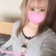 ヒメ日記 2026/01/29 13:36 投稿 こむぎ ふわふわコレクション