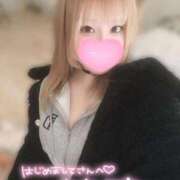 ヒメ日記 2026/01/29 17:04 投稿 こむぎ ふわふわコレクション