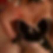 ヒメ日記 2026/01/29 22:22 投稿 こむぎ ふわふわコレクション