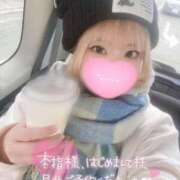 ヒメ日記 2026/01/30 12:14 投稿 こむぎ ふわふわコレクション