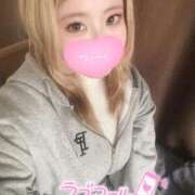 ヒメ日記 2026/01/30 14:14 投稿 こむぎ ふわふわコレクション