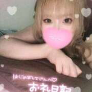 ヒメ日記 2026/01/31 15:15 投稿 こむぎ ふわふわコレクション