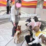 ヒメ日記 2026/02/08 14:44 投稿 こむぎ ふわふわコレクション