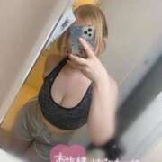 ヒメ日記 2026/02/21 15:15 投稿 こむぎ ふわふわコレクション