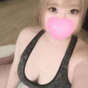 ヒメ日記 2026/02/26 22:14 投稿 こむぎ ふわふわコレクション