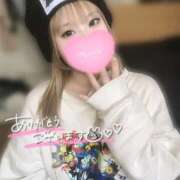 ヒメ日記 2026/03/01 14:24 投稿 こむぎ ふわふわコレクション