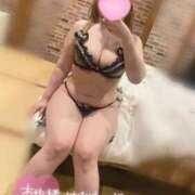 ヒメ日記 2026/03/02 12:34 投稿 こむぎ ふわふわコレクション